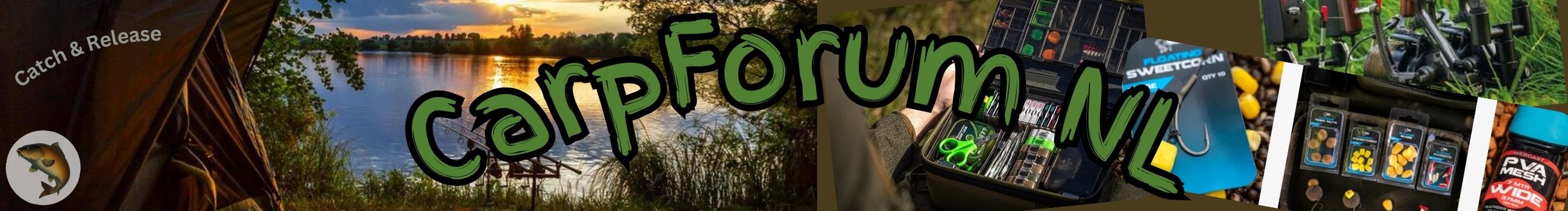 Forumoverzicht